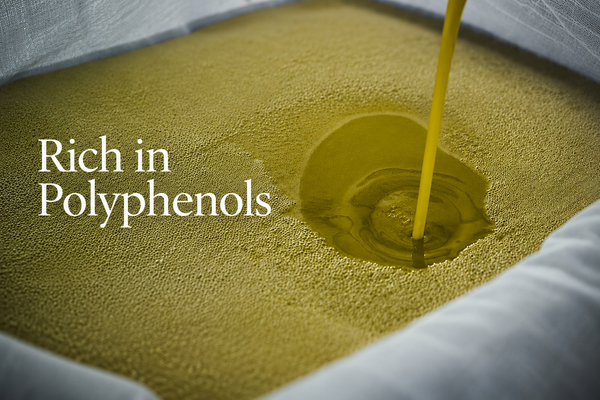 Fresh early harvest extra virgin olive oil rich in polyphenols during production.