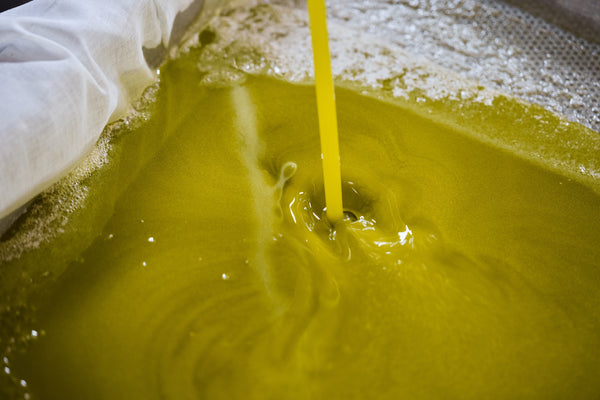 The Care Behind the Journey